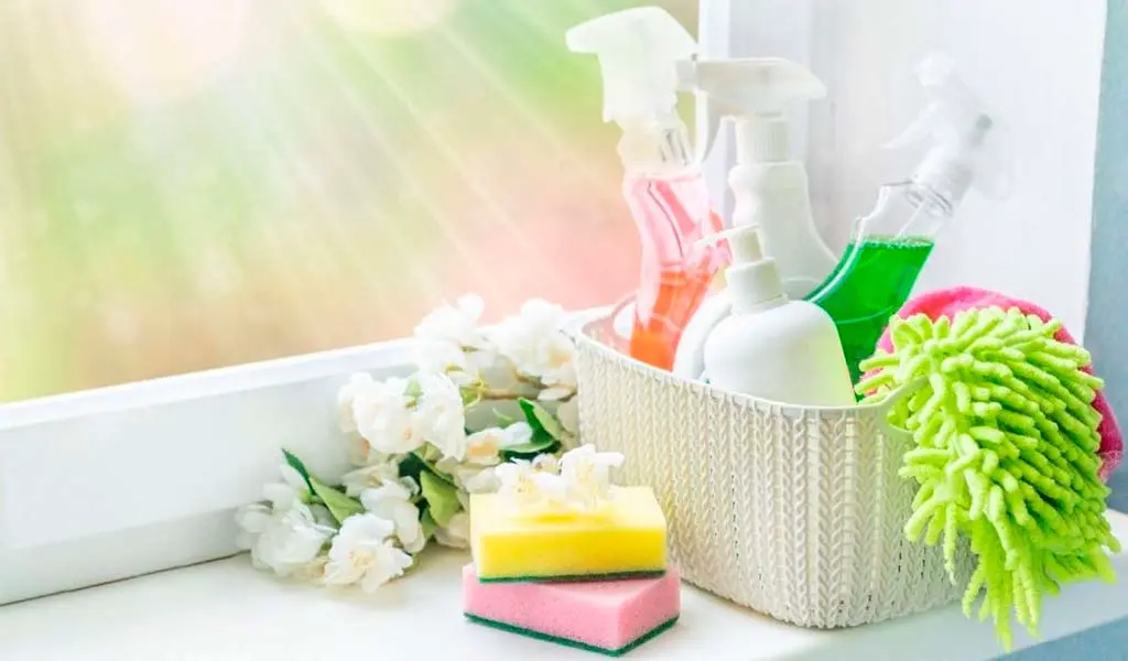 Seasonal Cleaning Services in Orlando Area - Bubblix Cleaning Services Seasonal Cleaning Services in Orlando Area - Bubblix Cleaning Services